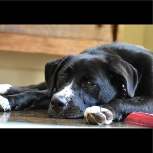 Meet your Posher, Pam